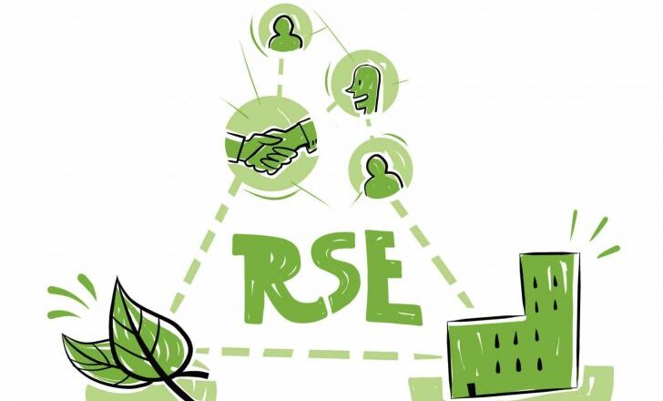 Formation la responsabilité sociétale des entreprises (RSE) : définir une stratégie gagnante