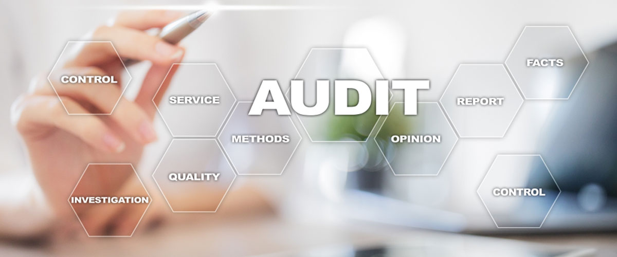 AUDITS-QSE