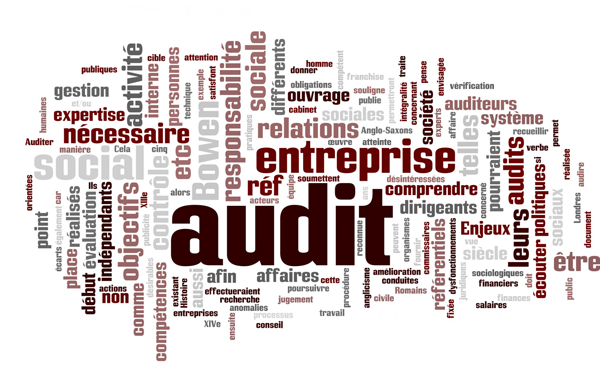 Formation Audit qualité interne