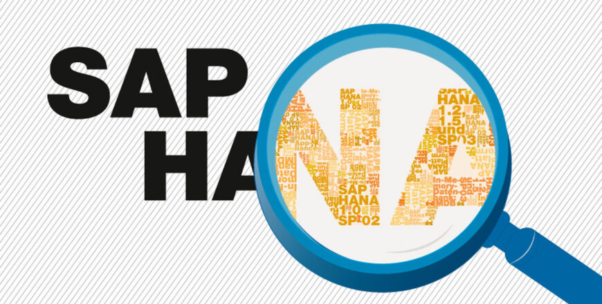 Formation SAP HANA - Implémentation et modélisation