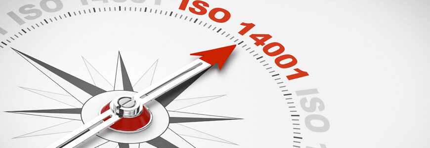 formation Norme ISO 14 001 Version 2015 : Stratégie de Mise en Œuvre