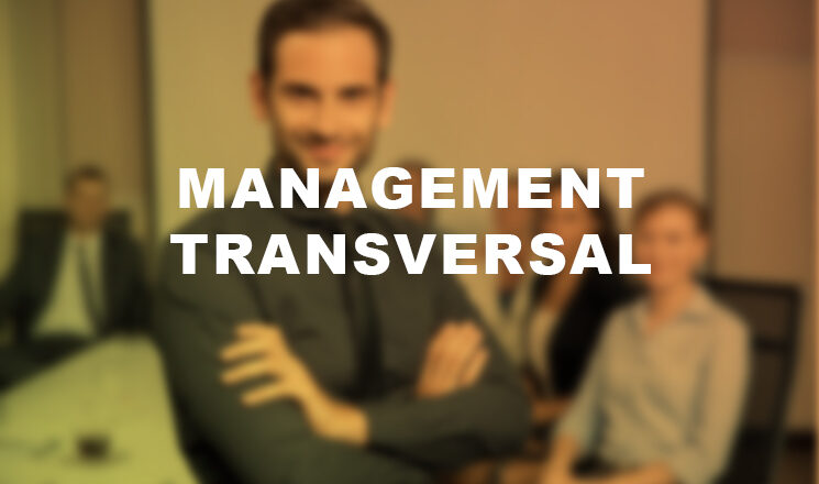 formation Management transversal