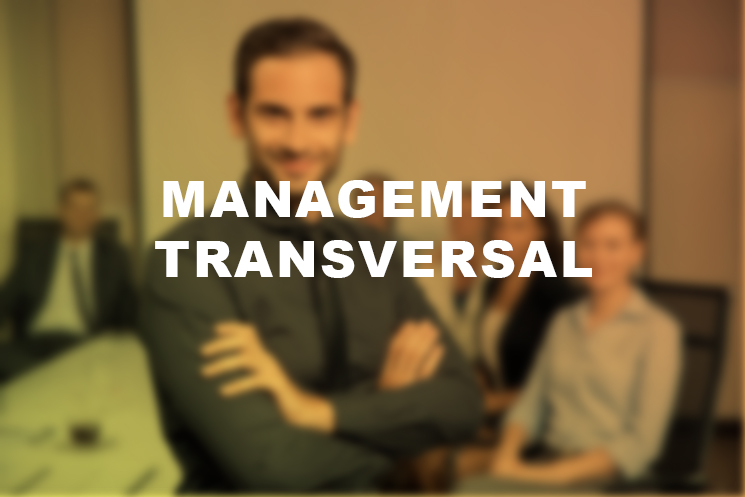 formation-management-transversal
