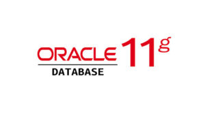 Formation Oracle 11g – Administration avancée