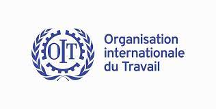 Organisation International du Travail